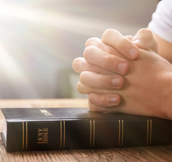 bible-hands